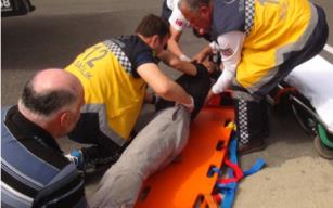 Elektrik akımına kapıldı, 4 metreden düştü!..