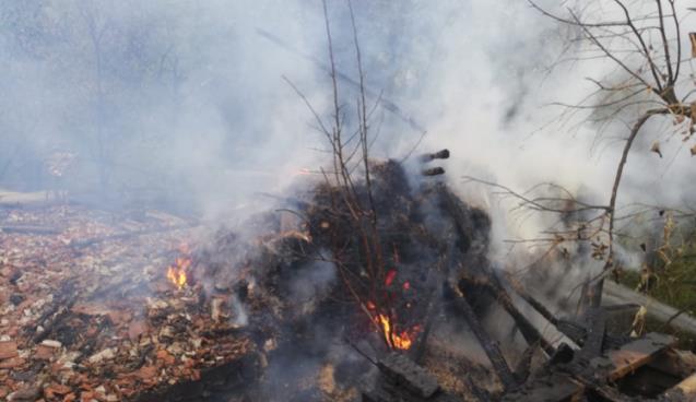 Alevlere teslim olan samanlık kül oldu