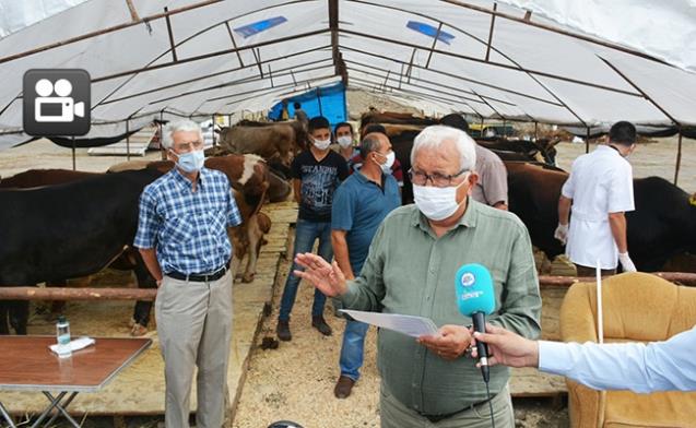 Kurban Pazarı Pandemi koşullarına göre hazırlandı