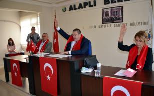 Başkan meclis üyelerinden Mehmetçiğe asker selamı