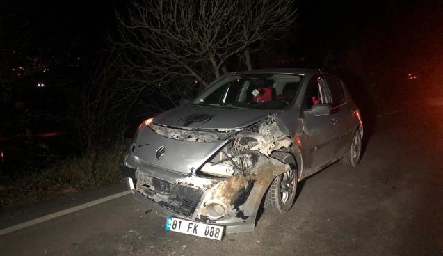 Domuz sürüsüne çarpan araç hurdaya döndü