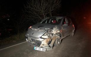 Domuz sürüsüne çarpan araç hurdaya döndü