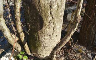 Zonguldak'ta Roma dönemine ait sütunlar ele geçirildi