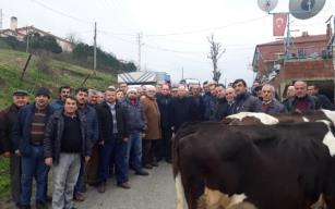 Çorumluoğlu’dan hayvan pazarı açıklaması…