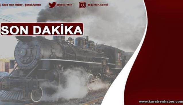 Ceviz ağacında buldular…