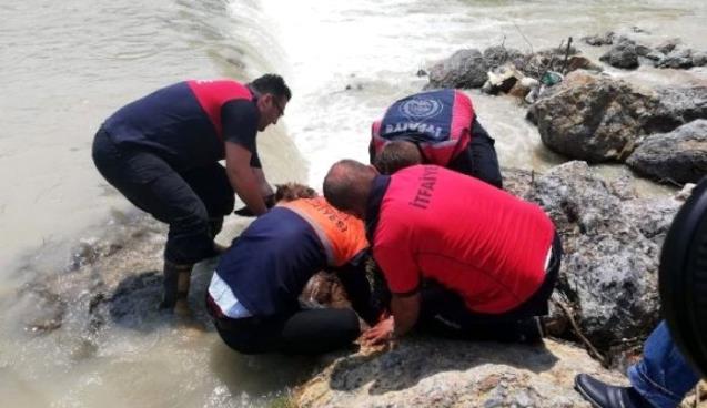 Eşeği itfaiyeciler kurtardı...