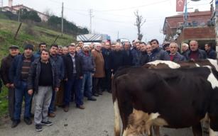 KAYMAKAM KAPTAŞ'DAYDI....