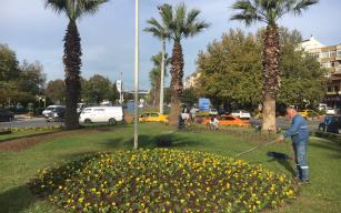 KDZ. EREĞLİ ÇİÇEK AÇTI