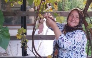 Bahçeden topladığı üzümlerden 40 kavanoz üzüm suyu çıktı.