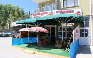 Udumbara çiçeği' olduğu düşünülen organizmaya rastladı. 