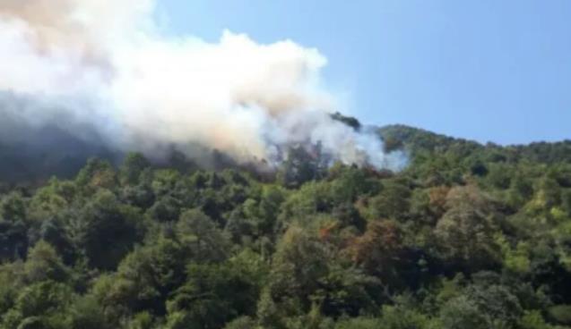 EREĞLİ’DE YANGIN!