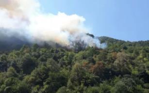 EREĞLİ’DE YANGIN!