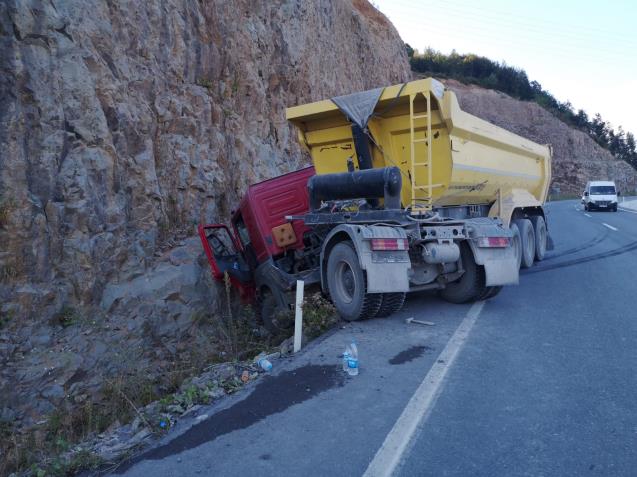 Bir arı faciası daha..