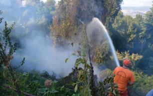 Gülüç'te yangın..