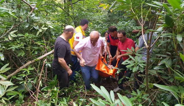 Kestane sonu olacaktı!...