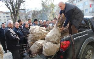 Devrek’te çiftçilere yönelik kestane fidanı dağıtımı