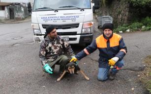 Bu dostluğu görenler…