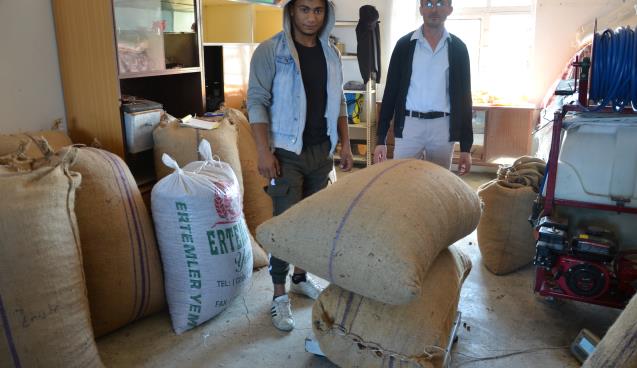 Panik havası kalktı, fındık fiyatları yükselişe geçti