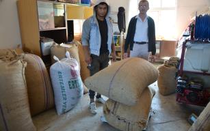 Panik havası kalktı, fındık fiyatları yükselişe geçti