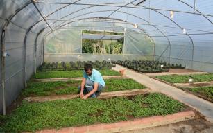 KDZ. EREĞLİ’NİN ÇİÇEĞİ, BELEDİYE SERASINDA ÜRETİLİYOR