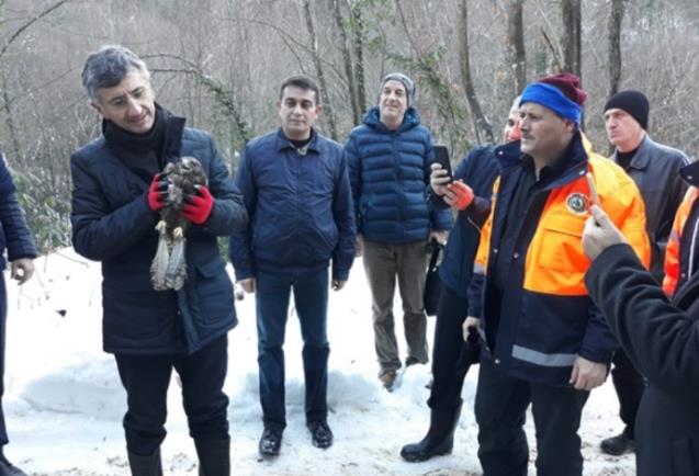 Vali Bektaş Harmankaya Şelalesi’nde…