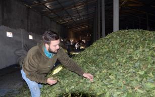 İnternette gördü, şimdi paraya para demiyor