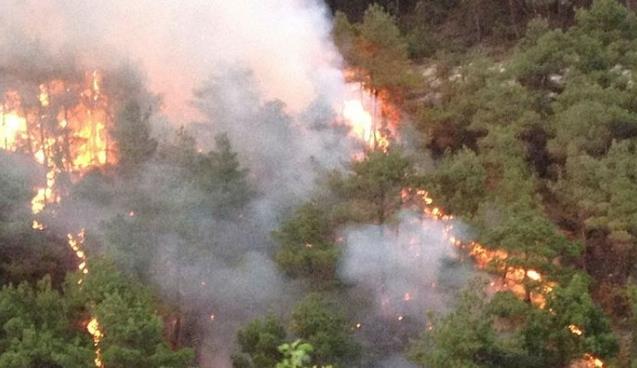 EREĞLİ’DE YANGIN!