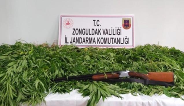 307 HİNT KENEVİRİ ELE GEÇİRİLDİ