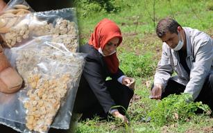 ÜRETİP BÜYÜTMEYE ÇALIŞIYORUZ