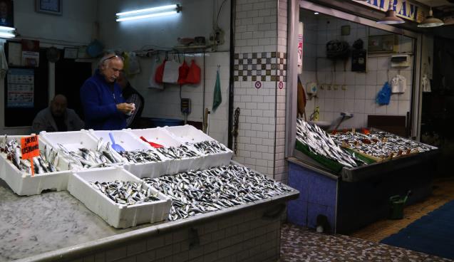 Balıkçılar tedirgin; 'Önlem alınmazsa gelecek nesil 