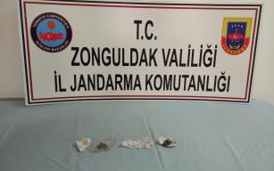 Alaplı'da skunk ele geçirildi