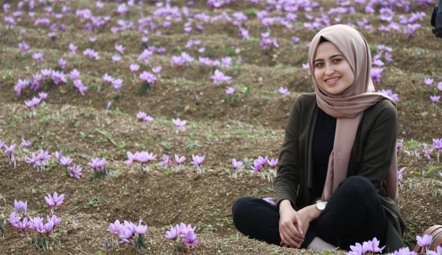 Mutluluk iksiri: Safran