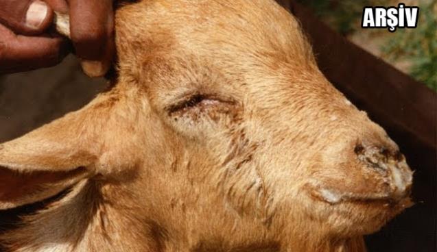  O Belde için karantina kararı alındı