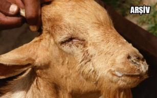  O Belde için karantina kararı alındı