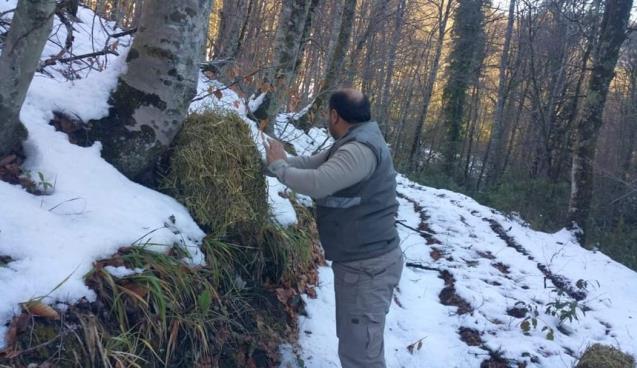 Yaban hayvanlarına yem ve yiyecek desteği verildi