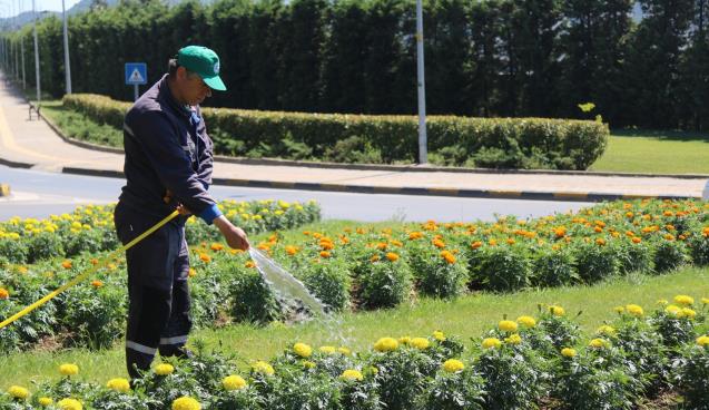 EREĞLİ ÇİÇEK AÇTI