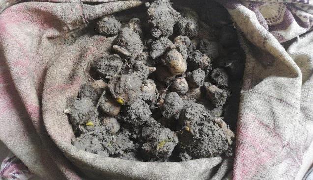 Toplanması yasak!.. 240 Bin TL ceza!..