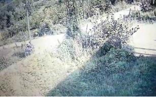  Fındık hırsızları yakalandı 