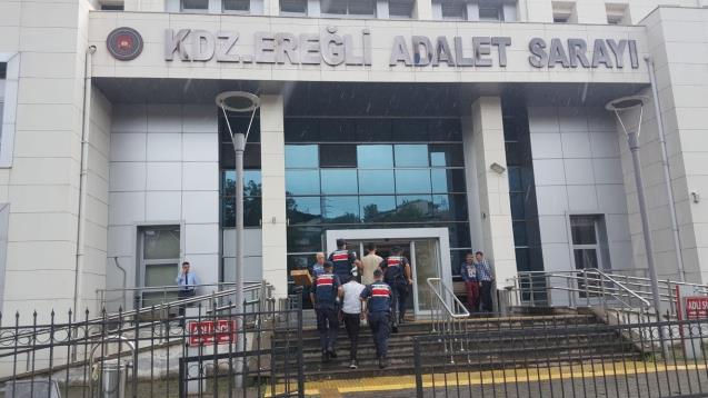 Fındık hırsızları adliyeye sevk edildi