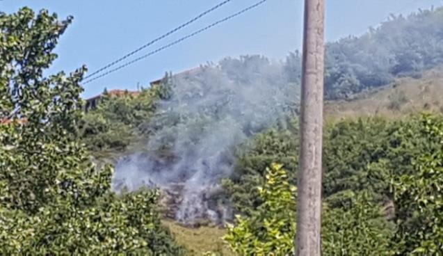 HAYLAZLAR YANGIN ÇIKARDI