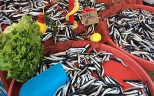 Havalar soğudu hamsi fiyatları tavan yaptı