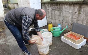 hayvanları için topraksız buğdaydan çim üretmeye başladı