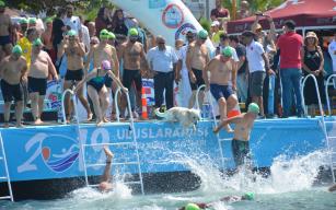 YÜZÜCÜLERLE BİRLİKTE SUYA ATLADI, İLGİ ODAĞI OLDU!