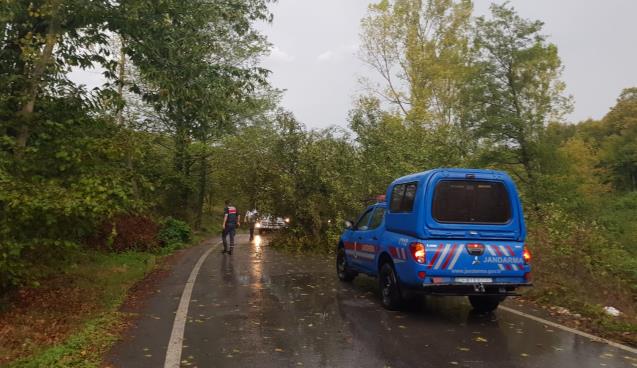 Ağaç Devrildi Yolculara Zor Anlar Yaşatıı...