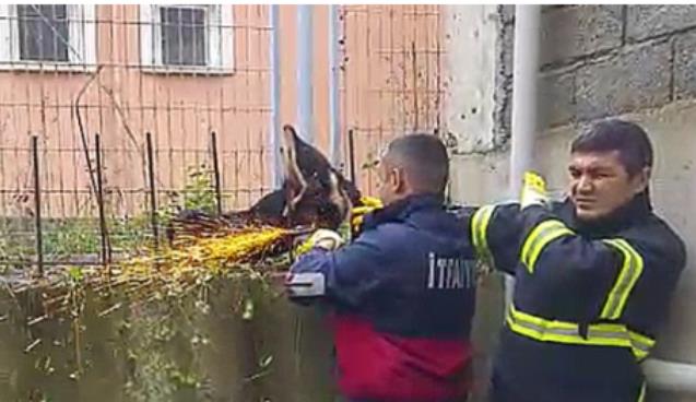 Vücuduna saplanan DEMİR, ismi oldu…