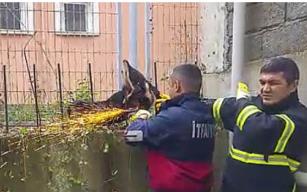 Vücuduna saplanan DEMİR, ismi oldu…