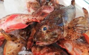 Çirkin olduğuna bakmayın... O kadar çok tüketiliyor ki!...