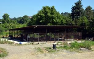 Hayvan Barınağı modernize ediliyor...