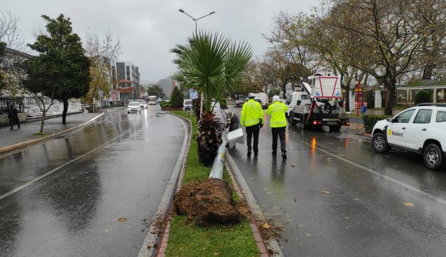 Fırtına direkleri yıktı.