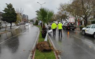 Fırtına direkleri yıktı.